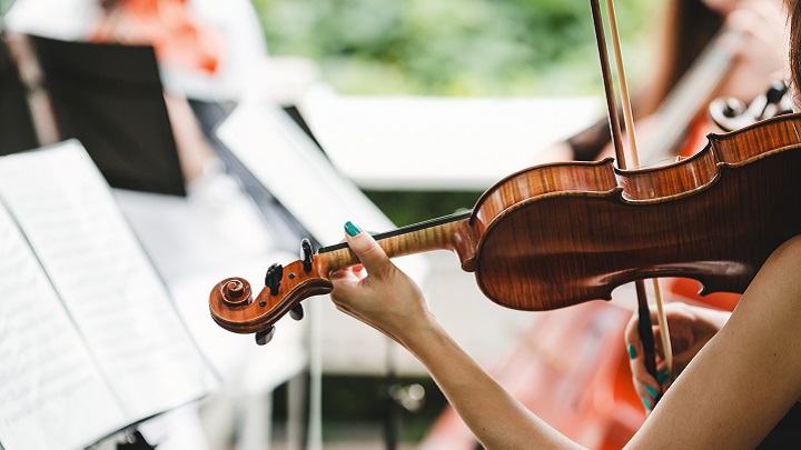  Musicista suona violino